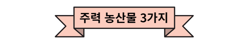 주력농산물 3가지