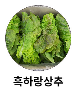 흑하랑상추