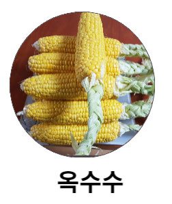옥수수